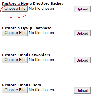 Click on Choose File under Restore a Home Directory Backup Click on Choose File under Restore a Home Directory Backup