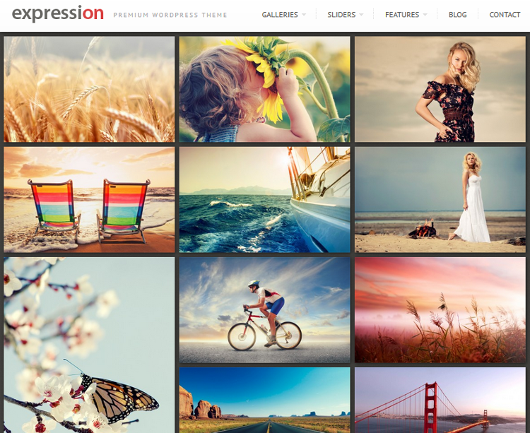 Top 10 Photography, Photo Gallery, Blog WordPress Themes