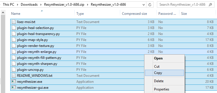 Copy files from Resynthesizer plugin which you downloaded Copy files from Resynthesizer plugin which you downloaded