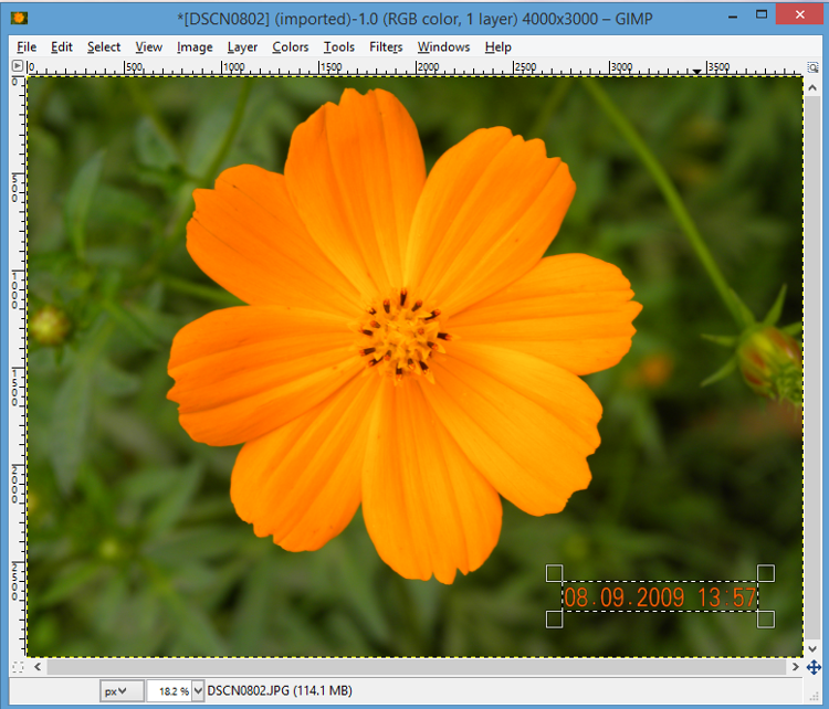 Select region where date and time stamp is imprinted Select region where date and time stamp is imprinted