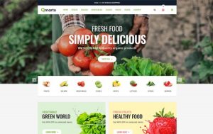 Top 5 Online Grocery Store HTML5 Website Templates